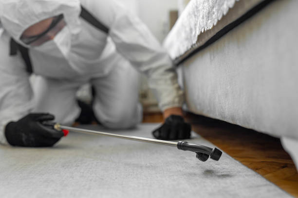 Professional Bed Bug Control technician working in Greensburg, KY