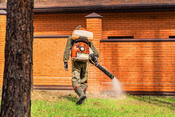 Trusted Bed Bug Control service in Greensburg, KY - Nex Pest Control